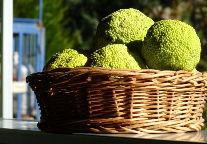 lounge bútor bérlés, brent.hu