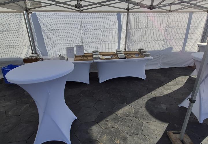 Party tent rental!