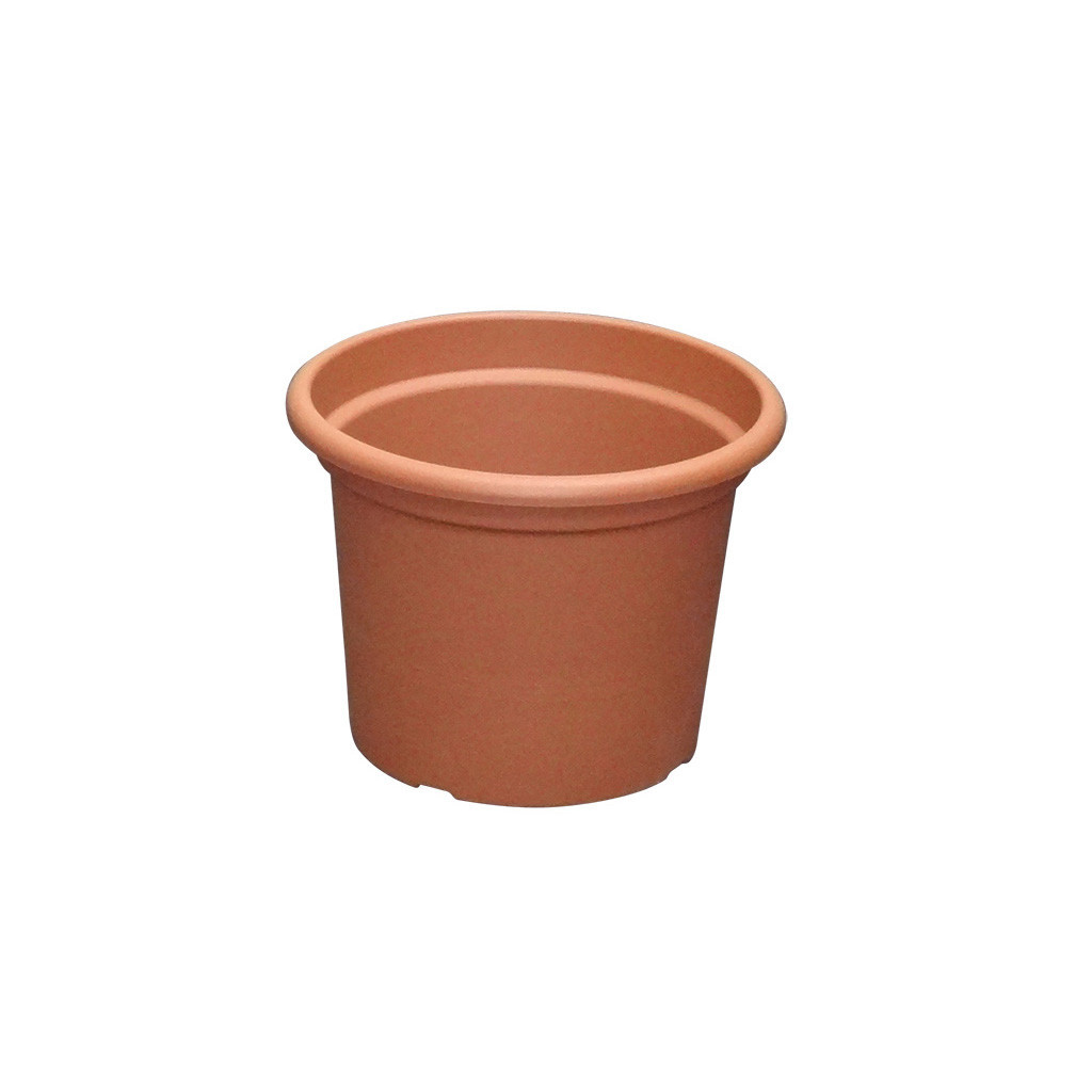 kaspó bérlés, brent.hu