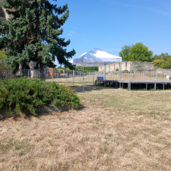 party sátrak kölcsönzése, brent.hu