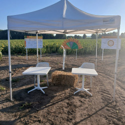 party sátor bérlés, brent.hu