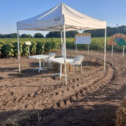 party sátor bérlés, brent.hu