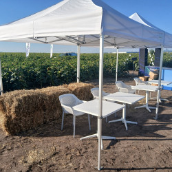 party sátor bérlés, brent.hu