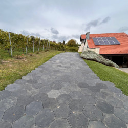 méhsejt talajtakaró bérlés, brent.hu