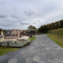 méhsejt talajtakaró bérlés, brent.hu