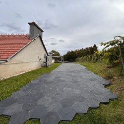 méhsejt talajtakaró bérlés, brent.hu