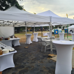 bútor bérlés rendezvényekre, brent.hu