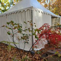 pagoda sátor bérlés, brent.hu